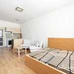 Pronajměte si 1 ložnic/e byt o rozloze 33 m² v Prague