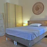 Rent 1 bedroom apartment of 65 m² in milan