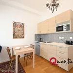 Rent 1 bedroom apartment of 31 m² in Prague