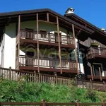 Rent 3 bedroom apartment of 45 m² in Ponte di Legno