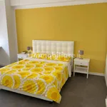 Rent 2 bedroom apartment of 50 m² in Pisa