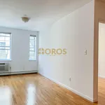 Rent 1 bedroom apartment in New York City