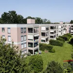 Rent 3 bedroom apartment of 89 m² in Givisiez