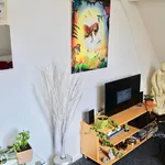 Studio van 26 m² in Den Haag