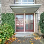 Rent 2 bedroom apartment of 90 m² in Arnhem