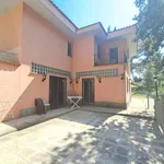 Rent 4 bedroom house of 150 m² in Roma