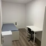 Rent 8 bedroom apartment in Porto