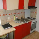 Rent 1 bedroom apartment in copou