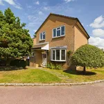 Detached house to rent in Sparrow Close, Wokingham, Berkshire RG41