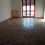 Affitto 5 camera appartamento di 160 m² in San Severo