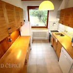 Rent 5 bedroom apartment in Brno