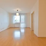 Rent 3 bedroom apartment in Brno