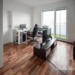 Rent 2 bedroom apartment in Brno