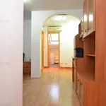 Rent 1 bedroom apartment of 26 m² in Timisoara