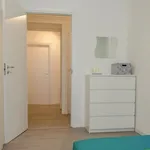 Rent 5 bedroom apartment in Turin