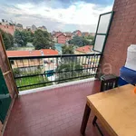 Rent 2 bedroom apartment of 55 m² in Torino