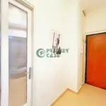 Rent 3 bedroom apartment of 85 m² in Turin