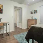 Rent 4 bedroom student apartment of 157 m² in Austin