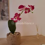 Rent 3 bedroom apartment of 65 m² in Parma