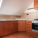 Rent 1 bedroom house of 120 m² in Šenov u Nového Jičína