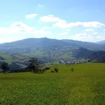 Rent 3 bedroom apartment of 50 m² in Colli Verdi