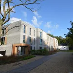 Rent 1 bedroom apartment in Mechelen