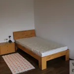 Miete 1 Schlafzimmer wohnung von 34 m² in Erlangen