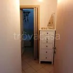 Rent 3 bedroom apartment of 65 m² in Livorno