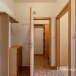 Pronajměte si 2 ložnic/e byt o rozloze 51 m² v Prague