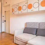 Rent 1 bedroom apartment of 60 m² in rome