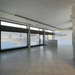 Affitto 1 camera appartamento di 170 m² in Canneto sull'Oglio