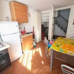 Rent 2 bedroom apartment of 50 m² in Torino