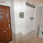 Rent 3 bedroom apartment of 48 m² in Trhový Štěpánov