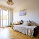 Rent 2 bedroom apartment of 35 m² in Wrocław