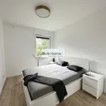 Rent 2 bedroom apartment of 37 m² in Toruń