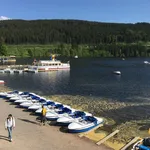 Rent 2 bedroom apartment of 68 m² in Titisee-Neustadt