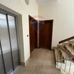 Rent 4 bedroom apartment of 111 m² in Palermo