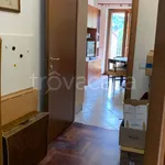 Rent 3 bedroom apartment of 78 m² in Perugia