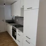 Rent 1 bedroom apartment of 44 m² in Graz