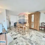 Monolocale di 23 m² a Florence