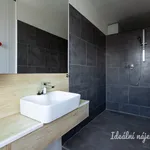 Rent 1 bedroom apartment in Praha 9