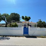 Rent 3 bedroom house of 100 m² in Καλύβια Θορικού