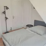 Rent a room of 100 m² in berlin