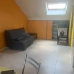 Rent 1 bedroom apartment of 21 m² in REIMS