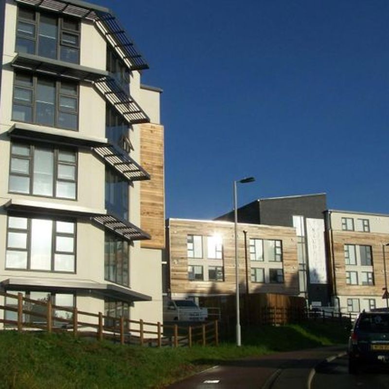 Flat to rent in Plymbridge Lane, Derriford, Plymouth PL6