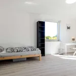 Rent a room of 78 m² in munich