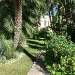 Rent 2 bedroom house of 50 m² in Forio