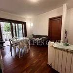 Rent 2 bedroom apartment of 50 m² in Rome