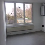 Rent 2 bedroom apartment in Antwerpen