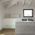 Rent 4 bedroom apartment of 327 m² in bergamo